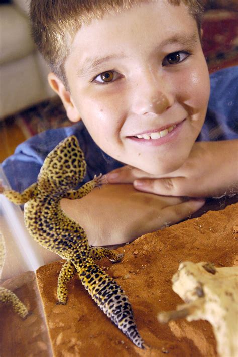 Having a pet can be extremely rewarding but also overwhelming! Low-maintenance leopard gecko a great pet | News, Sports ...