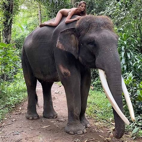 Former Tennis Ace S Daughter Causes Stir In Bali With Raunchy Elephant