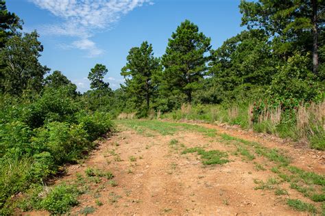 Tyler Stone Ranch Tract 26 - Classic Country Land