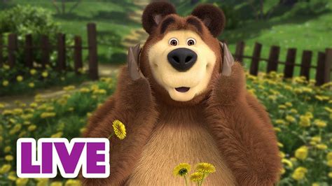 🔴 Live Stream 🎬 Masha And The Bear 🌸 Spring Blossoms 🌸 Youtube