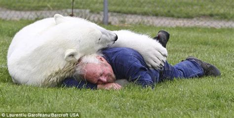 Amazing Facts Intimate Bond With Polar Bear Information Hub Of Besties
