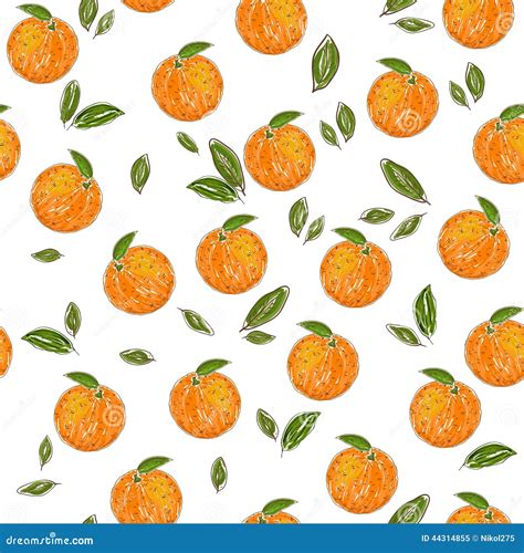Modèle Orange De Fruit Illustration De Vecteur Illustration Du