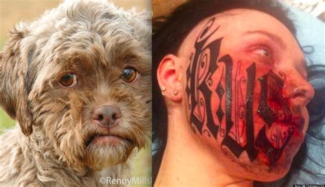 Dog With Human Face Not So Beastly Weird News Top 10