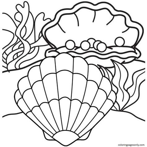 Free Printable Clam Coloring Pages