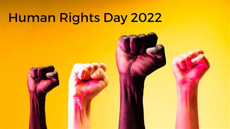 Human Rights Day Significance Theme And Everything About The Day