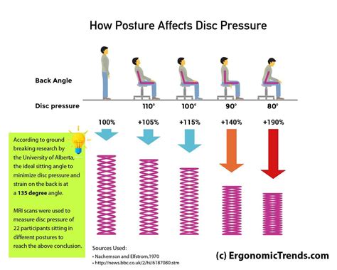 Proper Sitting Posture At A Computer According To Experts Ergonomic