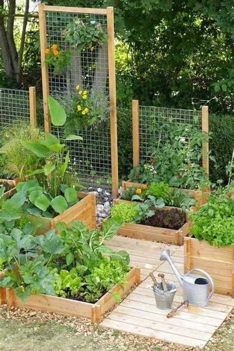20 Extraordinary Vegetable Garden Ideas For Backyard Inspiration