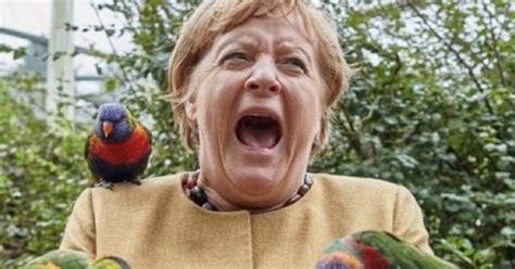 Angela Merkel Mordue Par Un Perroquet Cette Photo Fait Le Bonheur Des