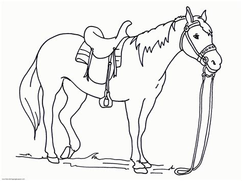 Arabian Horse Coloring Pages At Free Printable