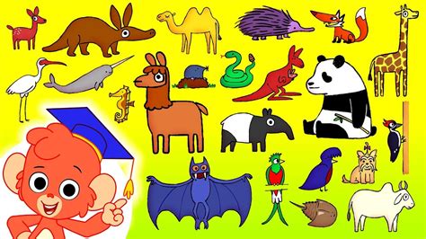 Animal Abc Learn The Alphabet With 26 Cartoon Animals For Kids Abcd
