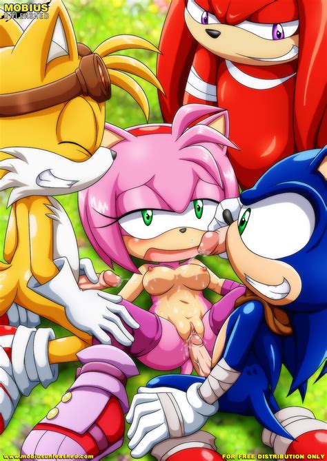 1451165 Amy Rose Knuckles The Echidna Palcomix Sonic Team