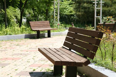 Free Images Table Forest Wood Bench Chair Walk Park Backyard