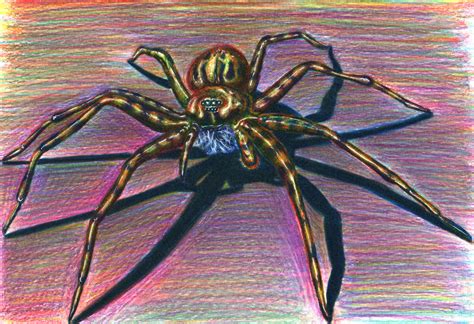 Spider Paintings