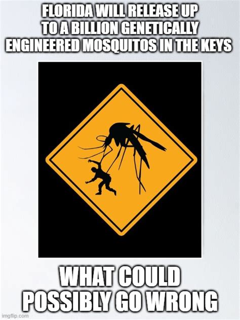 Mosquito Memes And S Imgflip