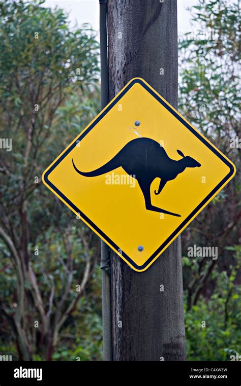 Danger Sign Wild Animals Hi Res Stock Photography And Images Alamy