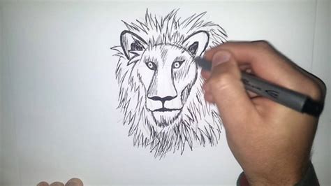 Leão Como Desenhar Um Leão Aprenda Desenhar 79 Youtube
