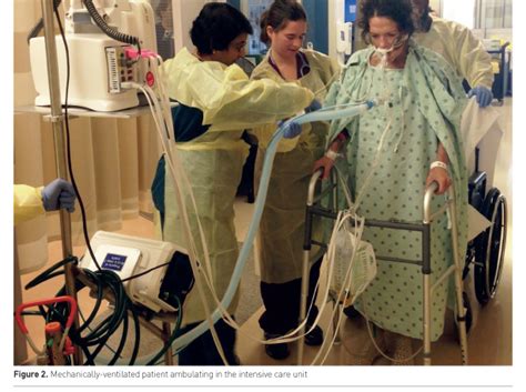 Physical Rehabilitation In The Icu Understanding The Evidence