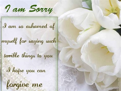 Sorry Messages For Friends Apology Quotes Wishesmsg