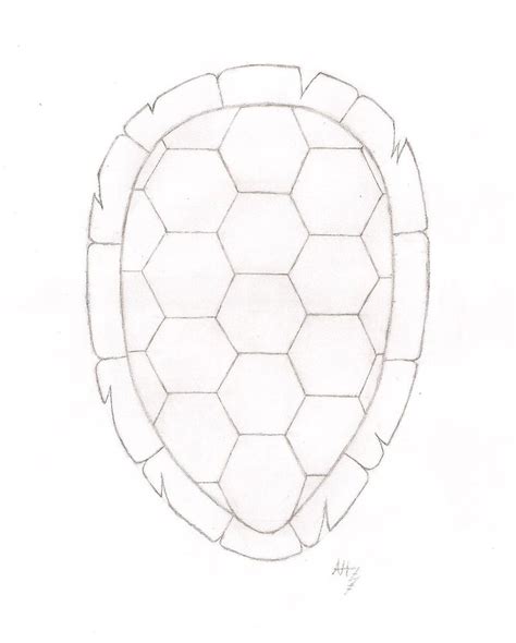 Here we can just record the heading before. Turtle Shell Drawing at PaintingValley.com | Explore ...