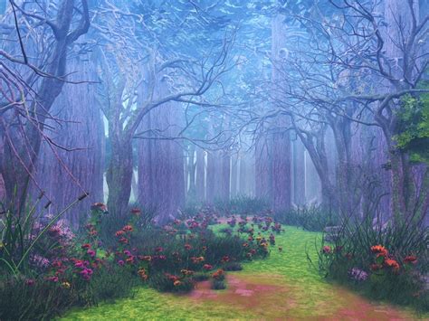 11 Magic Forest Wallpapers Hd Backgrounds Free Download Baltana