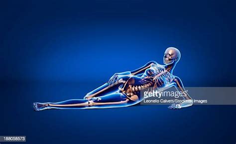 Skinny Rib Photos And Premium High Res Pictures Getty Images