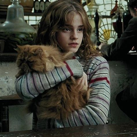 Harry Potter Icons Hermione Granger Emma Watson Hogwarts Style The