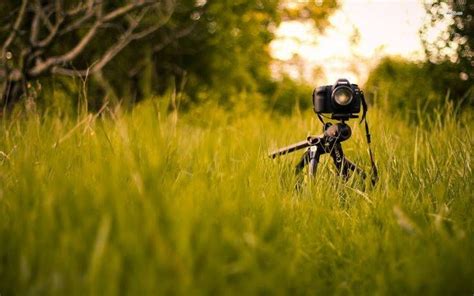 Image Result For Cb Edit Background Hd Camera Wallpaper Grass