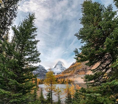 Premium Photo Panorama Of Mount Assiniboine With Autumn Forest On