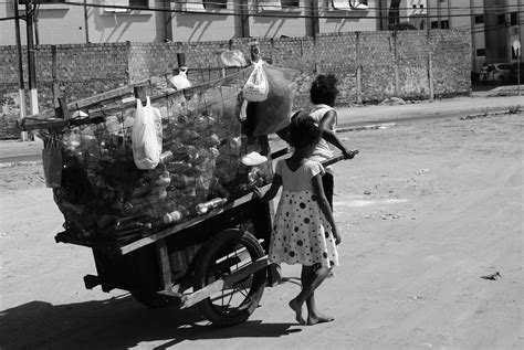 Os Desafios Enfrentados Pelos Catadores De Materiais Recicláveis No Brasil