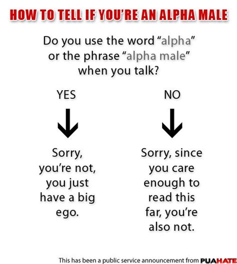 Alpha Male Alpha Male Alpha Male