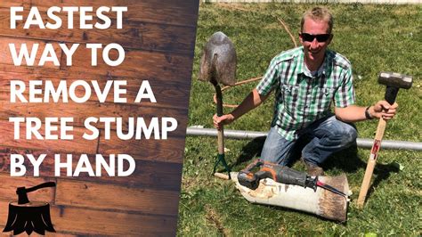 How To Remove A Tree Stump By Hand In 20 Minutes Or Less Youtube