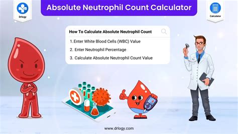 Best Absolute Neutrophil Count Calculator Anc Drlogy