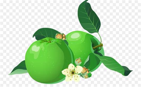 Download wallpaper gambar buah gudang wallpaper sumber. 21+ Gambar Sketsa Apel Hijau - Richi Wallpaper
