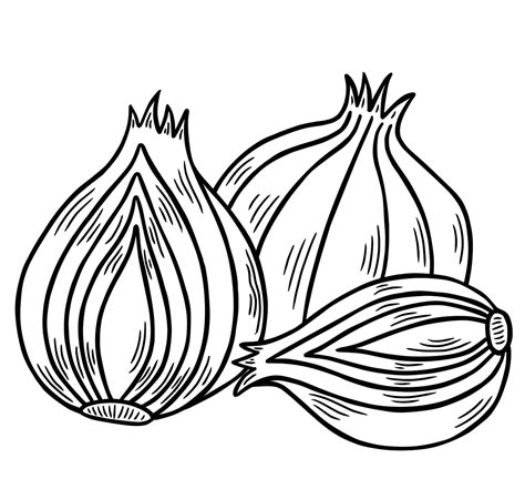 超过 10 张关于 Onion Cartoon 和 洋葱 的免费图片 Pixabay