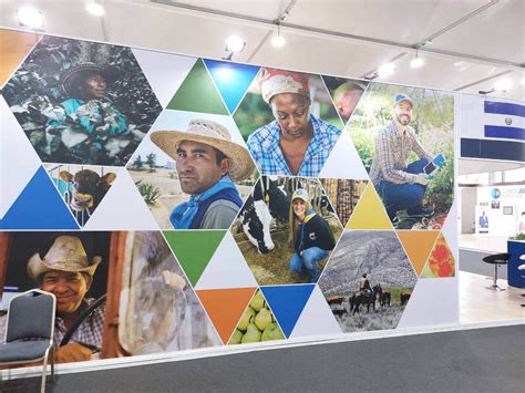 At COP27, US and Partners Announce More Funds for ‘Efficient