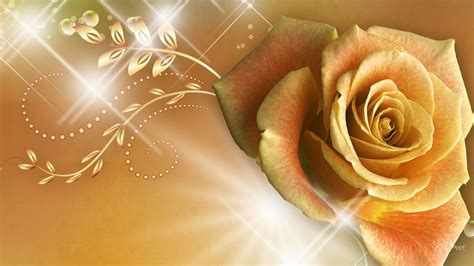 Gold Roses Wallpapers Top Free Gold Roses Backgrounds Wallpaperaccess