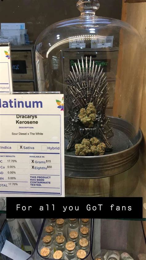 At my local dispensary in Denver! : trees