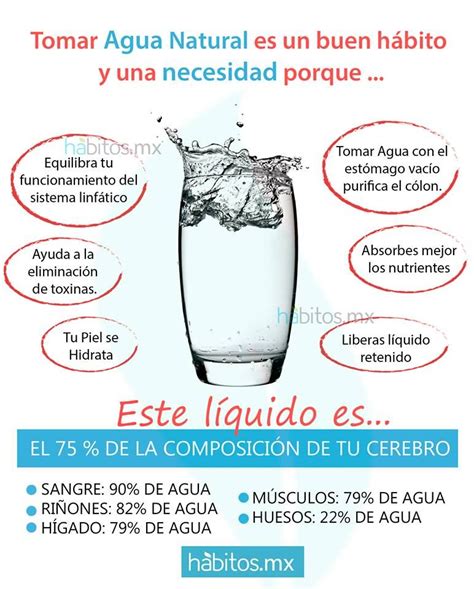 La Importancia De Tomar Agua Beneficios De Tomar Agua Consejos De Hot Sex Picture