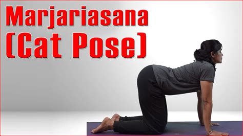 Ashtanga Yoga Marjariasana Cat Pose Its Benefits Youtube