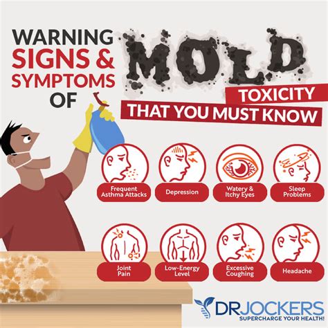 Mold Allergy Symptoms Testing And Natural Treatment