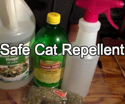 It's worth noting too that using a cat repellent. Friendly (but Effective) Cat Repellent | Sprays, Learning ...