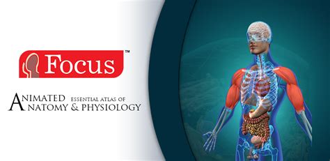Anatomy And Physiology Animate Apk Download For Android Aptoide