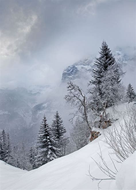 264 Best Winter Scenes So Pretty Images On Pinterest