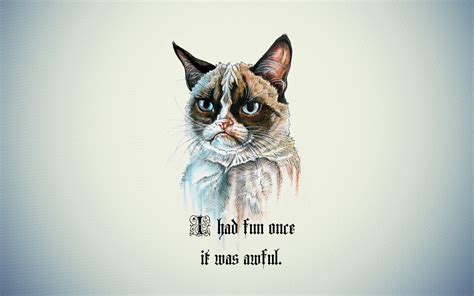 Funny Cat Wallpapers Download Mobcup