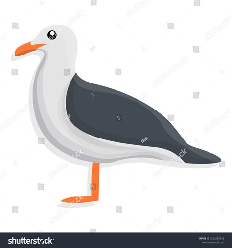 Seagull Icon Cartoon Of Seagull Icon For Web Royalty Free Stock