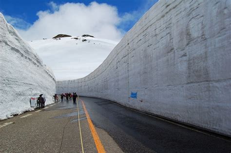 Gigantic Snow Wall Along Tateyama Kurobe Alpine Route Japan Amusing