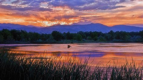 Walden Ponds Sunset Photograph By Brian Kerls