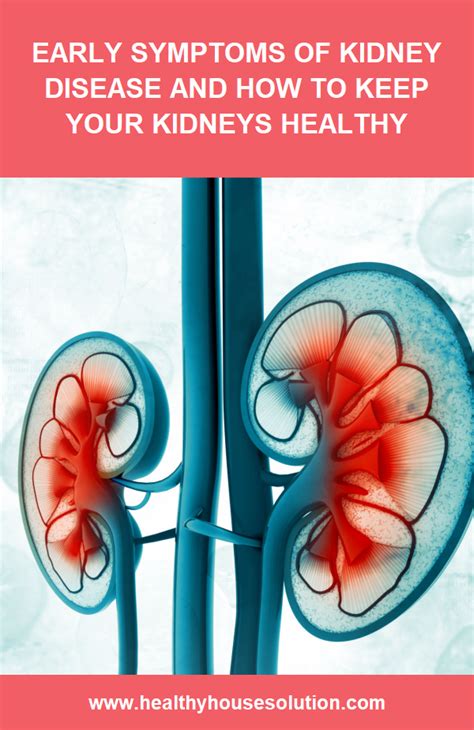 Early Signs And Symptoms Of Chronic Kidney Disease Recognize Disease