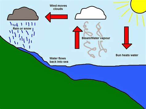 What Is Cloud To Soil In The Water Cycle
