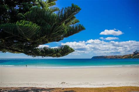 The Best Beaches In Tasmania Tasmania Travel